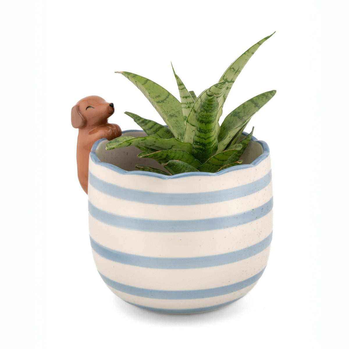 Jardinière Teckel Espiègle