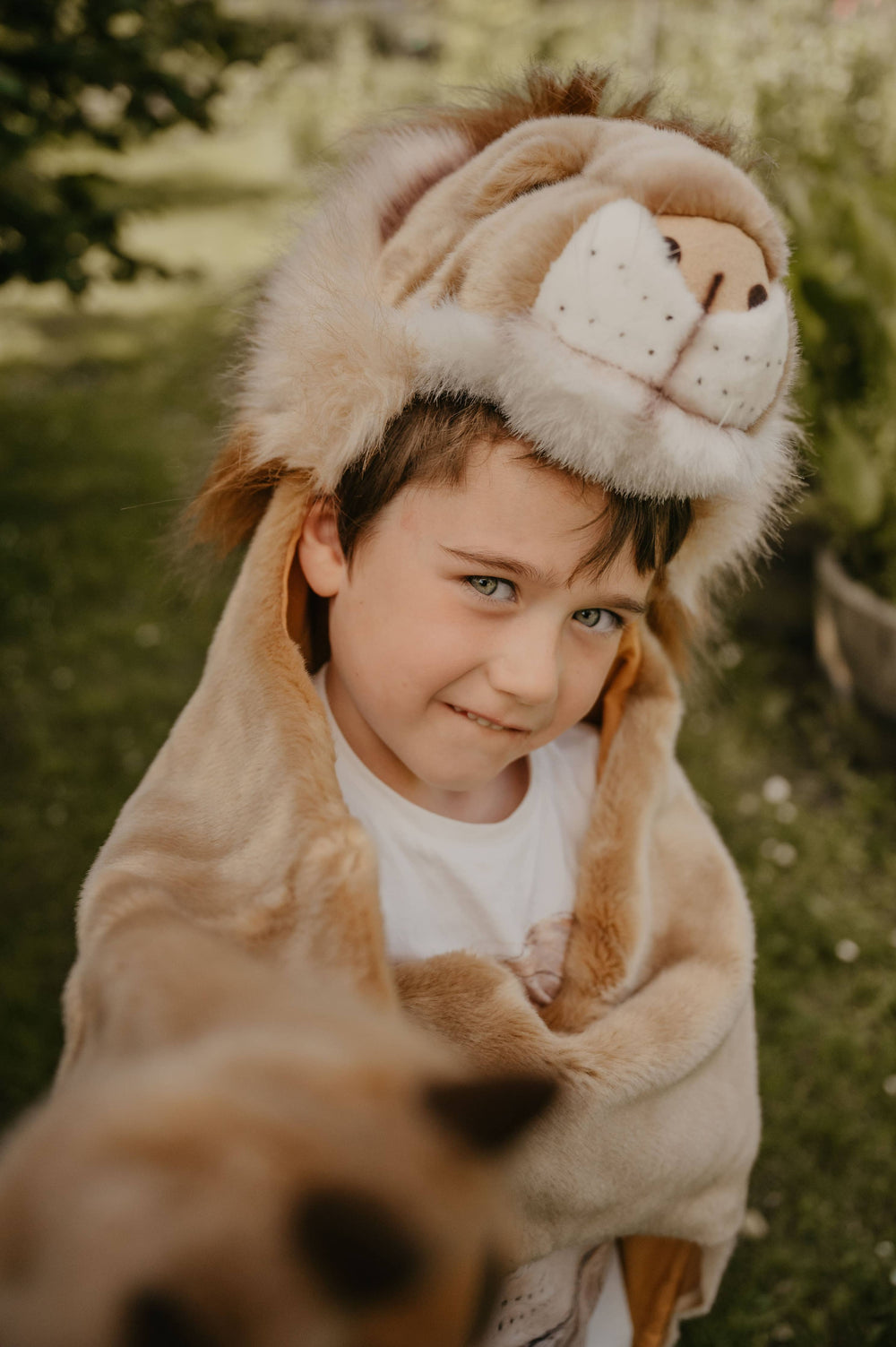 Costume Lion Enfant