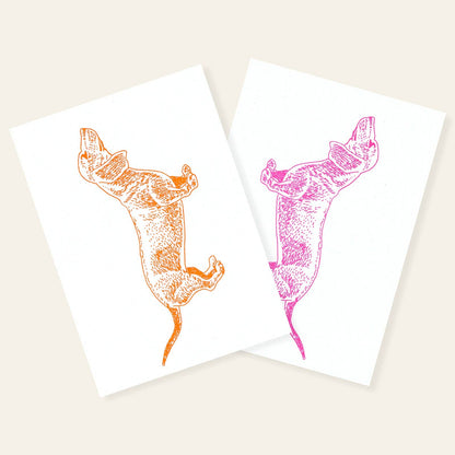 Neon Orange Dachshund Postcard