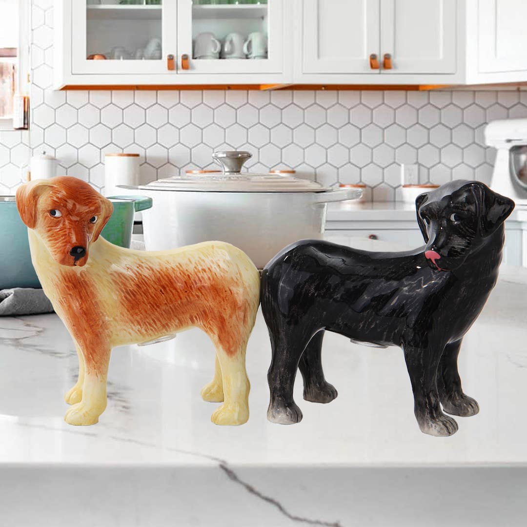 Salière et poivrière Labradors