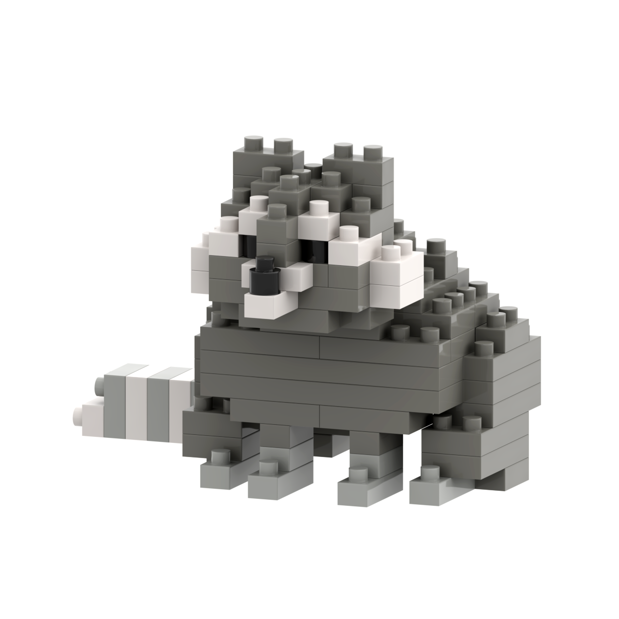 BRIXIES raton laveur