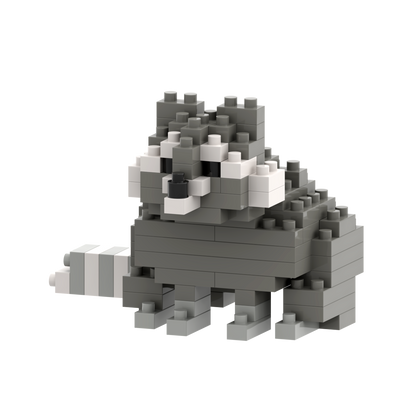 BRIXIES raton laveur