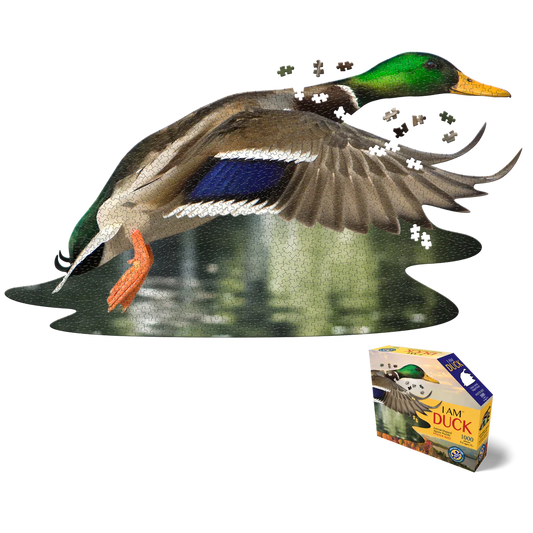 Puzzle Canard Colvert