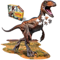 Puzzle Raptor