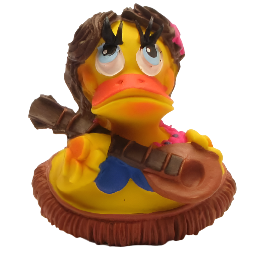 Hawaiian Duck