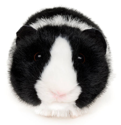 Guinea Pig (black) - 21 cm (length) - Plush Toy