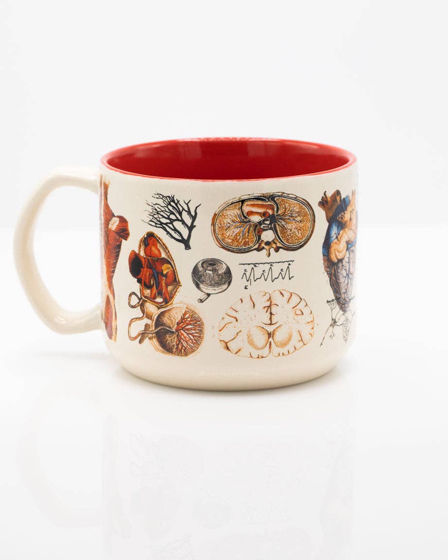 Mug Anatomie vasculaire (430 ml)