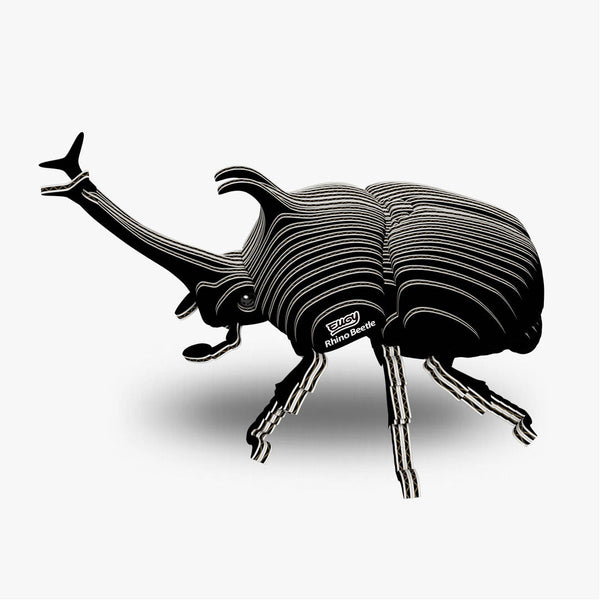 113 Rhinoceros beetle