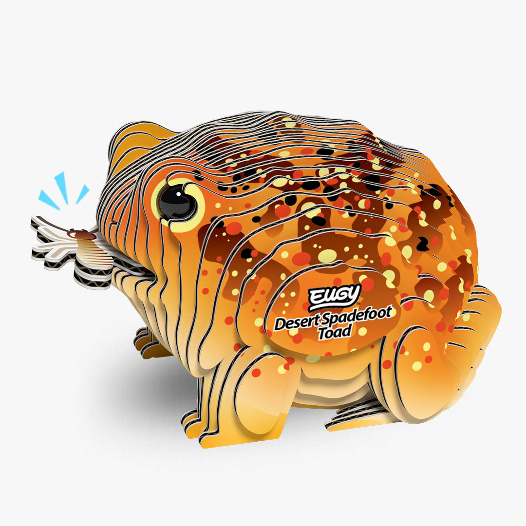 Crapaud du désert
