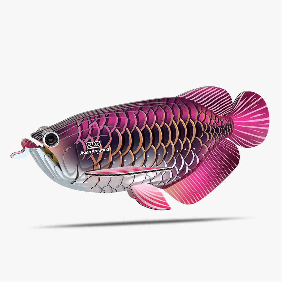 Drachenfisch