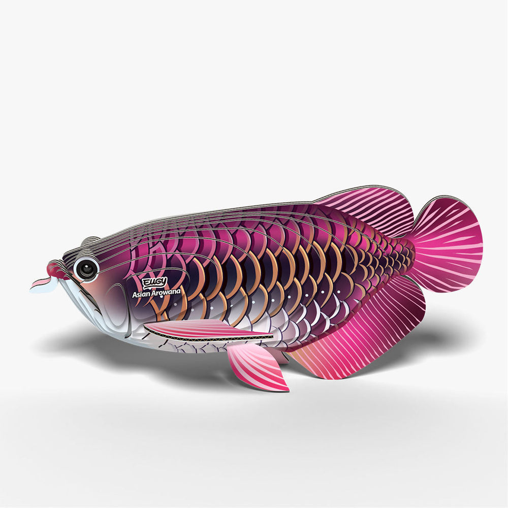 118 Asiatischer Arowana