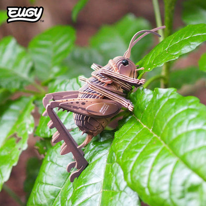 119 Giant Wētā