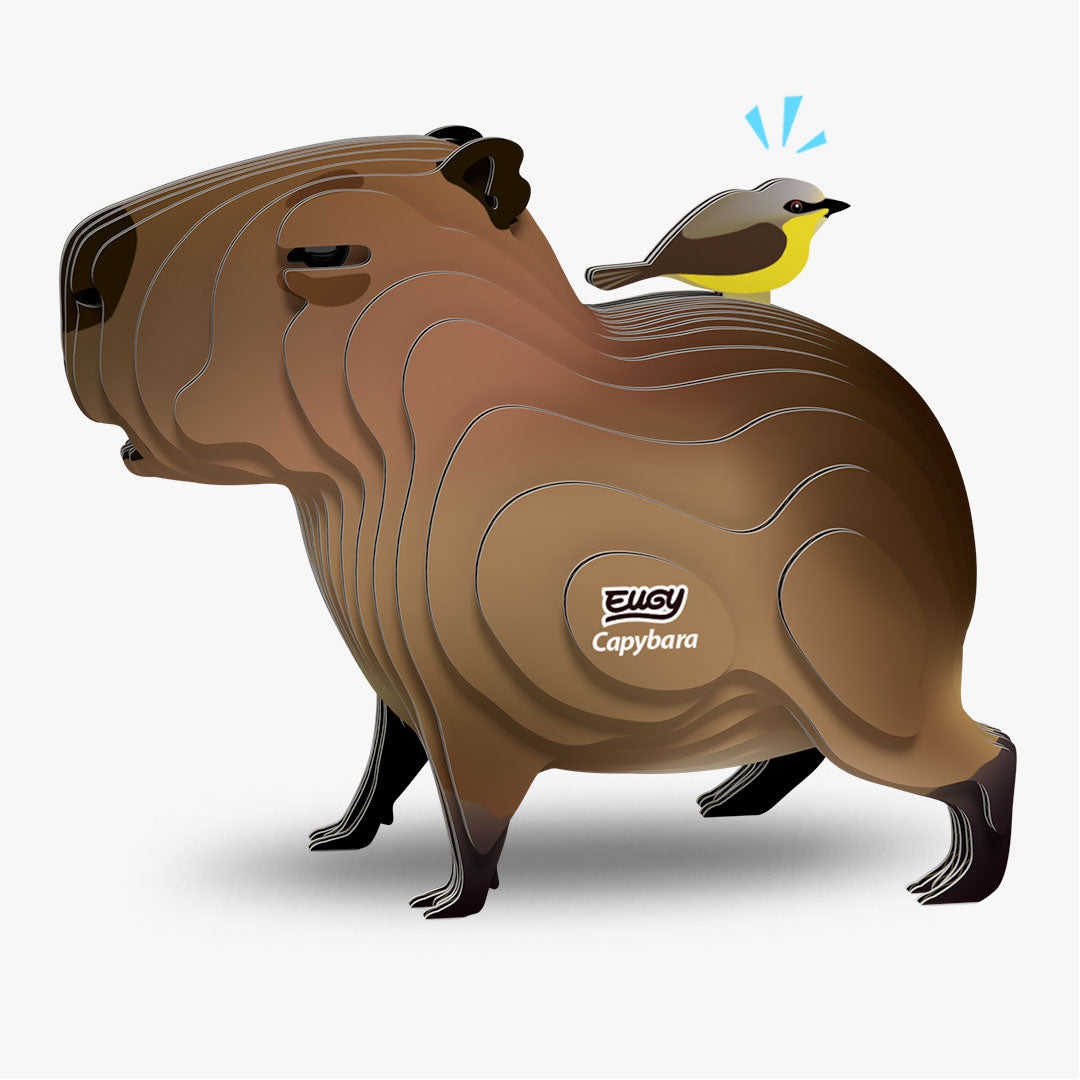 Capybara