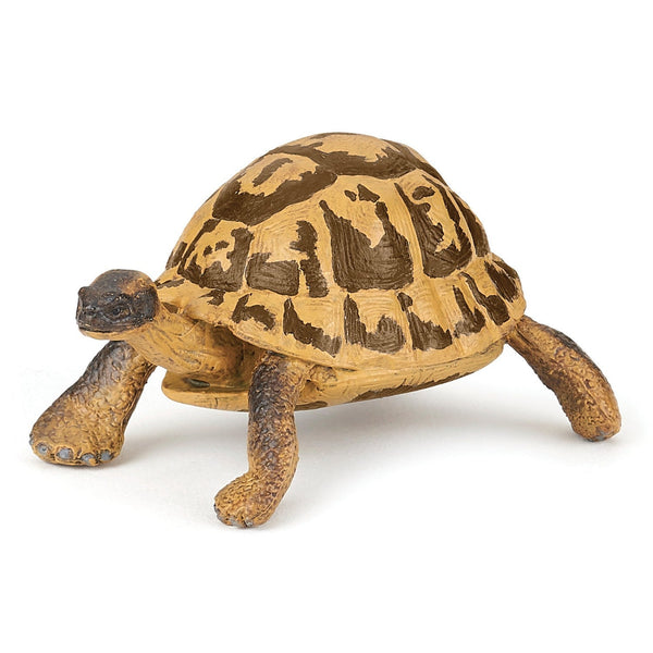 Figurine Tortue d'Hermann Papo - animal sauvage