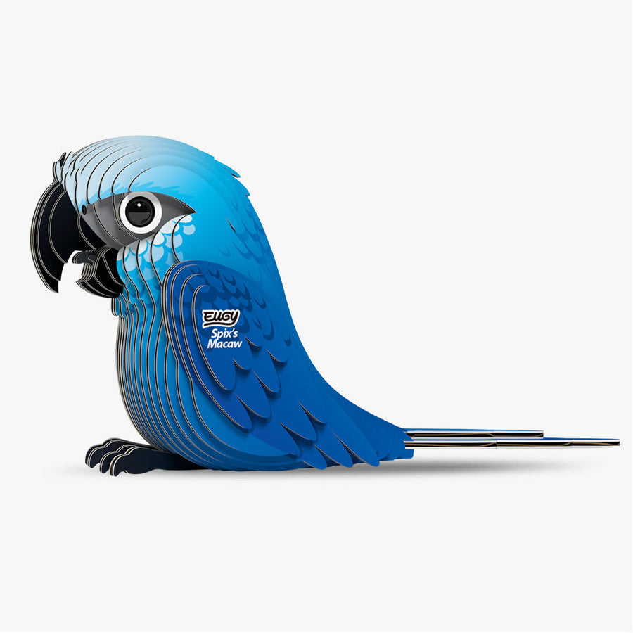 Spix's Macaw