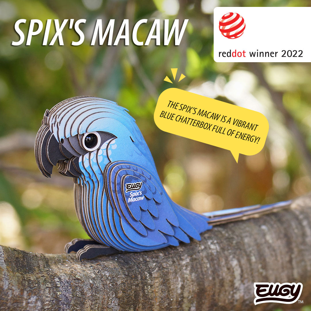 123 Spix's Macaw