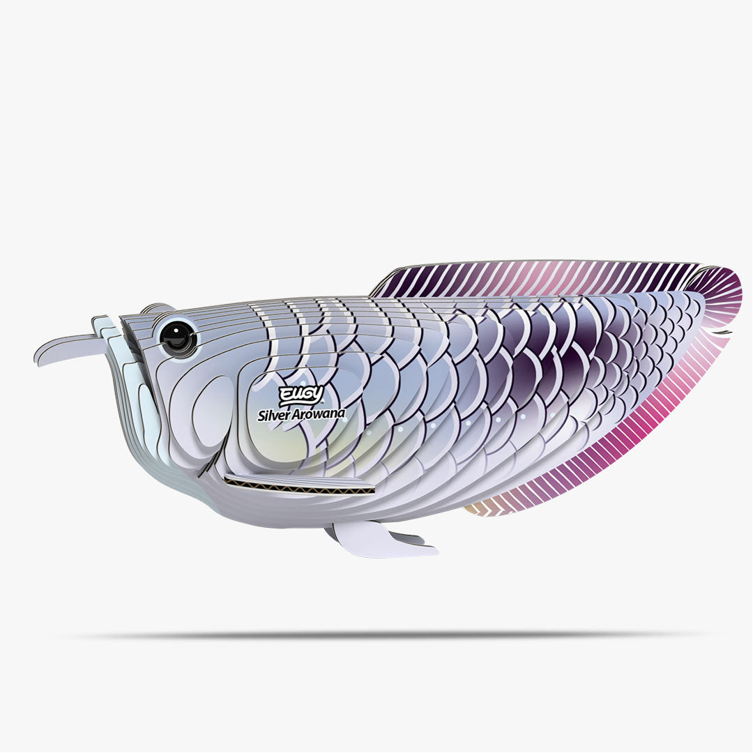 Arowana argenté