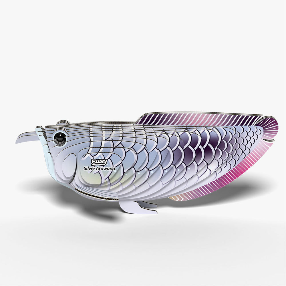 124 Silver Arowana