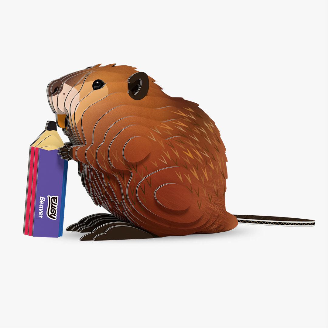 Beaver