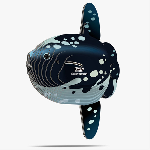 132 Ocean sunfish