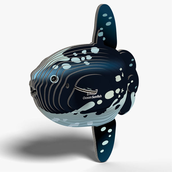 132 Ocean sunfish