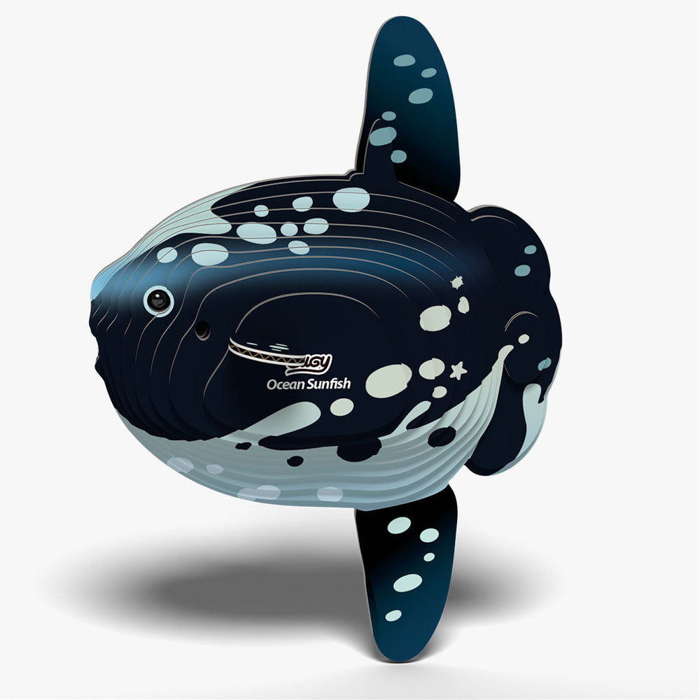 132 Poisson-lune