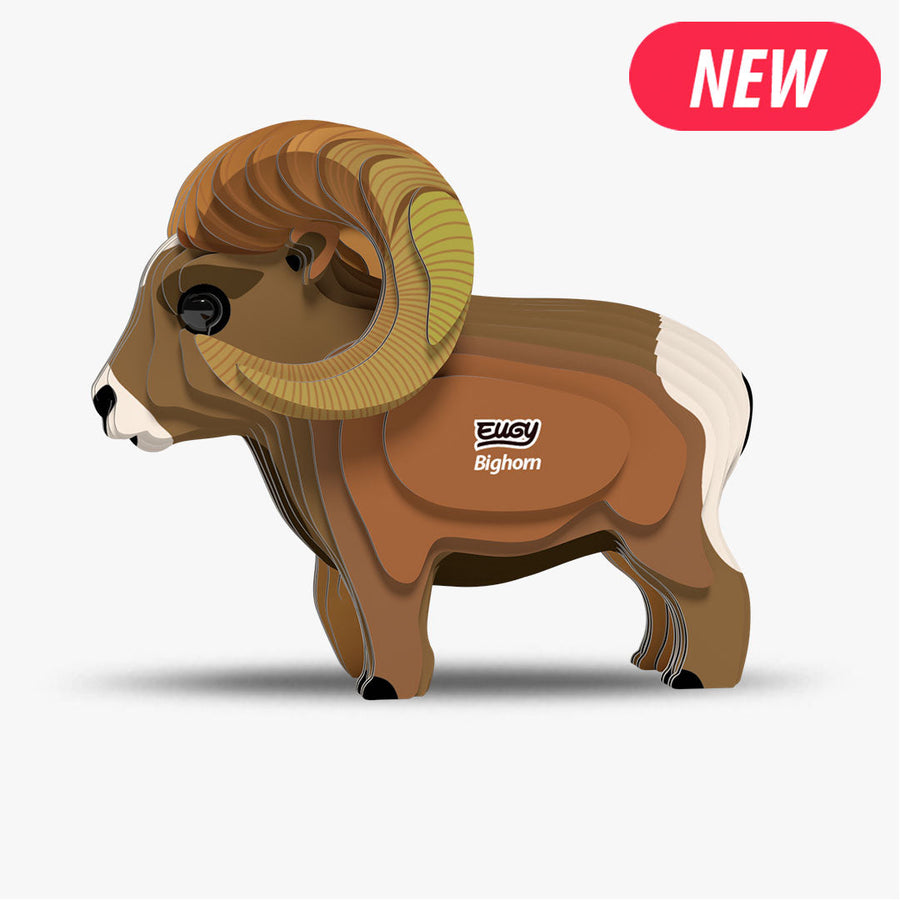 Bighorn
