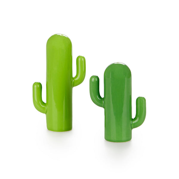 Salière et poivrière Cactus