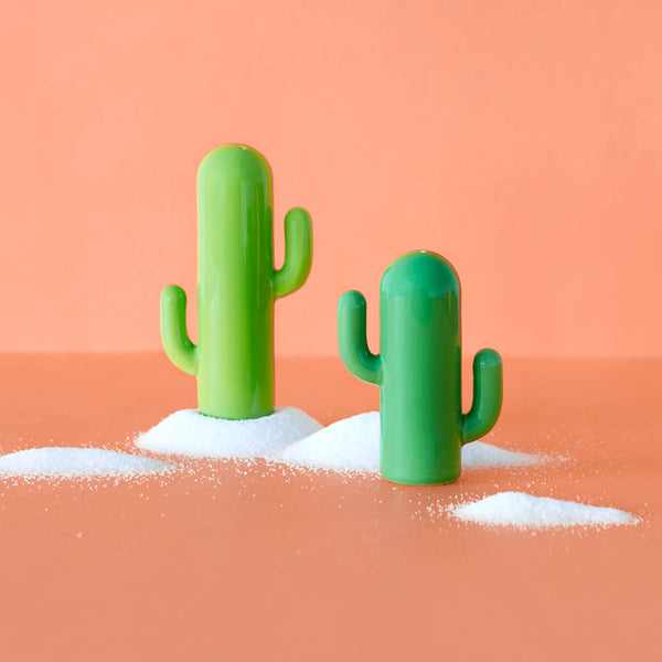 Salière et poivrière Cactus – Balvi – vue 2