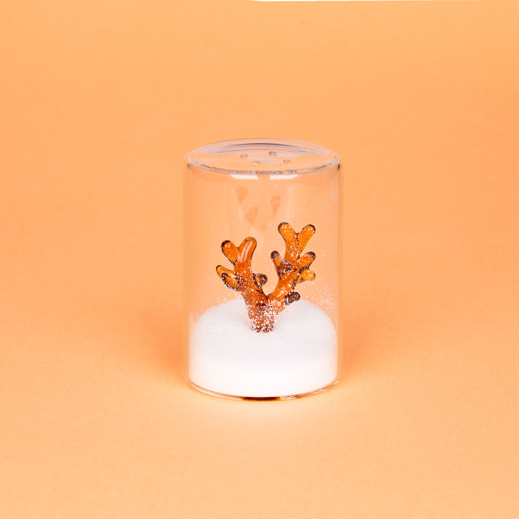 Salière Atlantis Coral