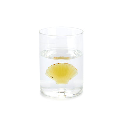 Verre Atlantis Shell