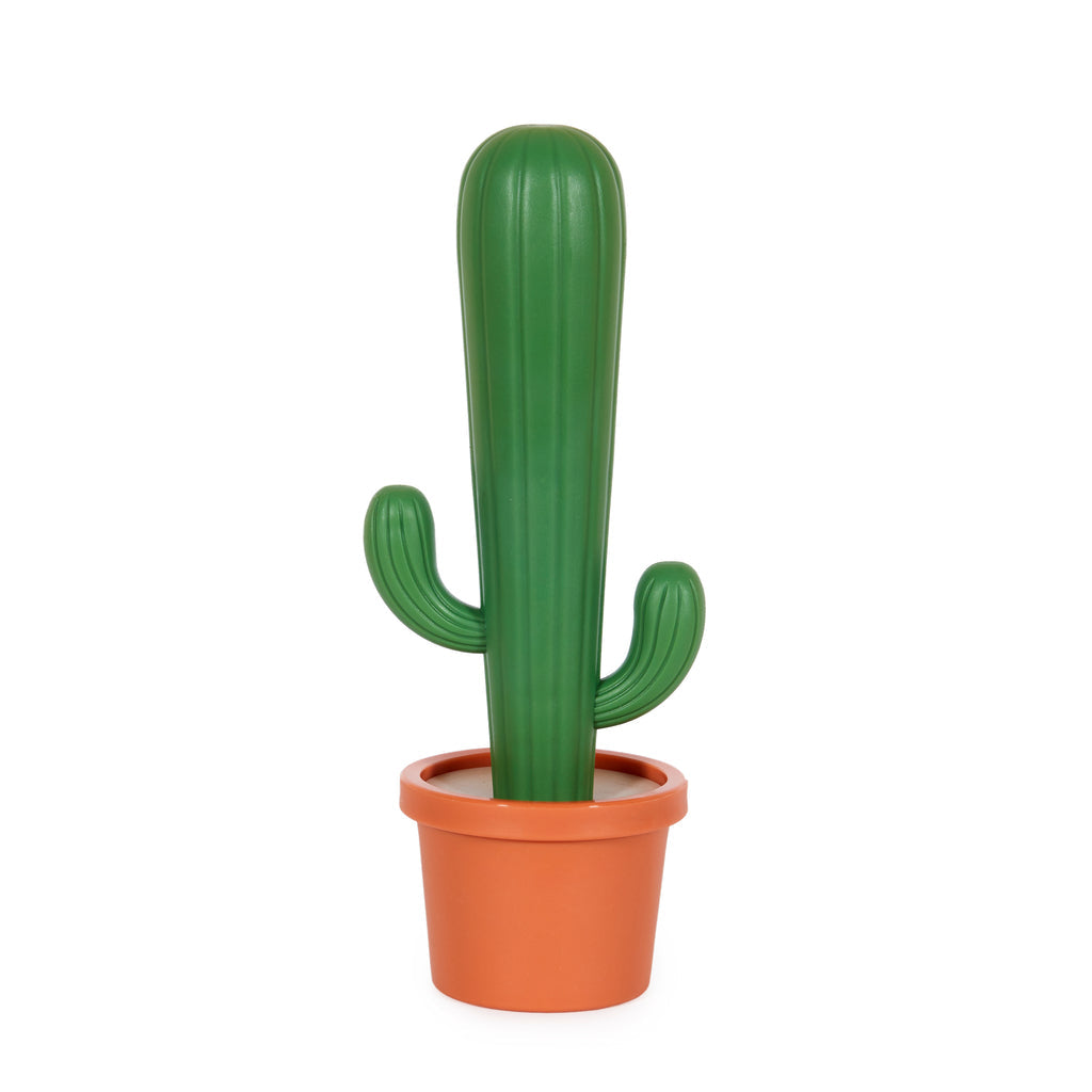 Brosse à vaisselle Cactus