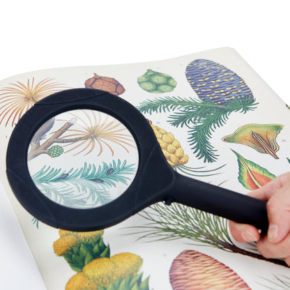 Magnify Zoom