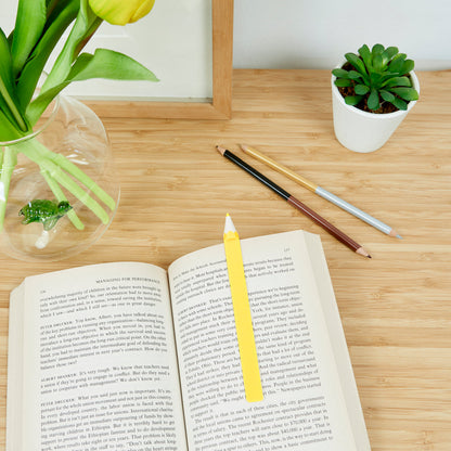 Graphite Bookmark