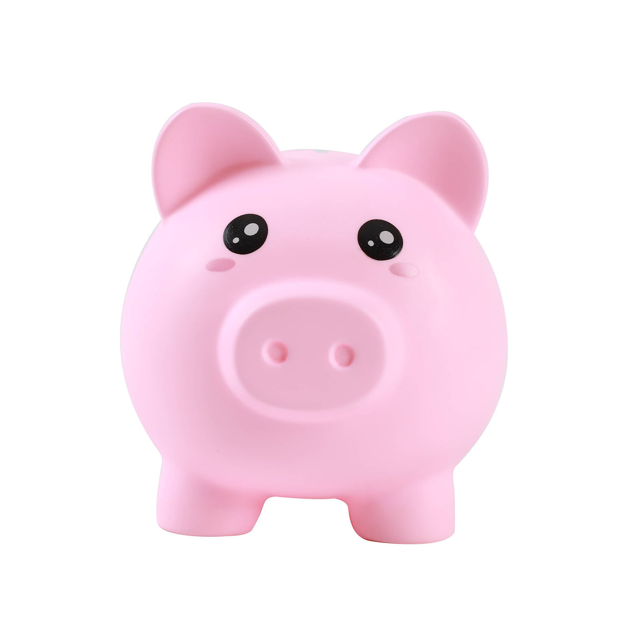 Pink Piggy Bank