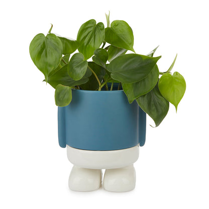 Pot de fleurs Mr. Standy
