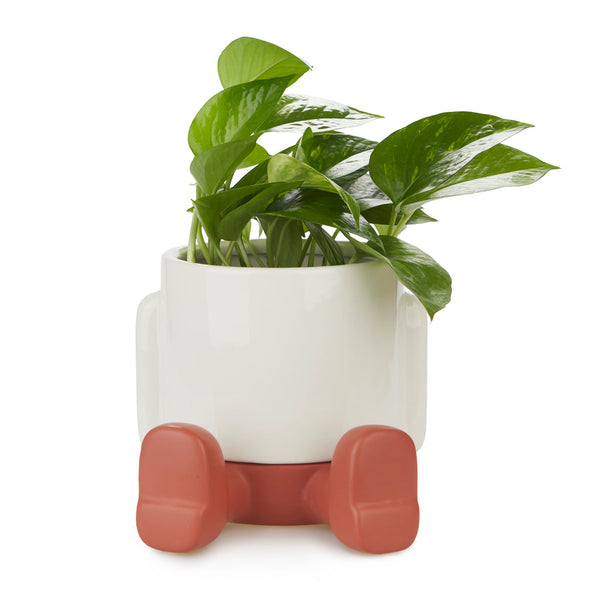 Pot de fleurs Mr. Sitty