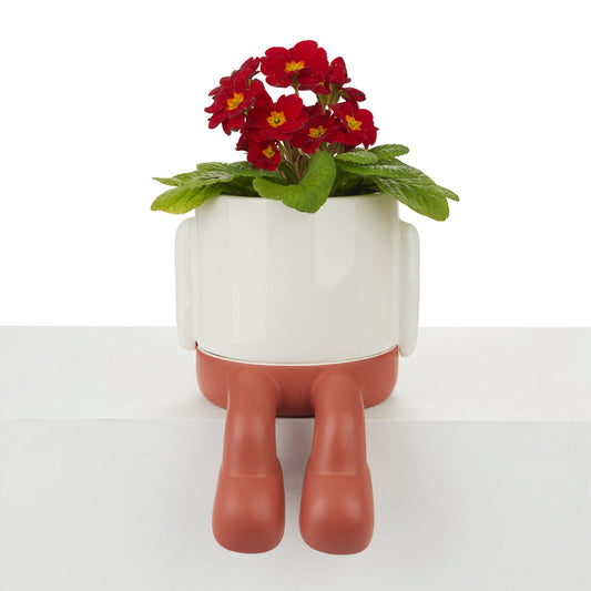 Mr. Dangly Plant Pot