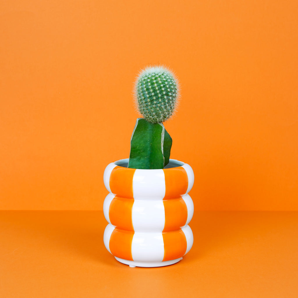 Floats Plant Pot