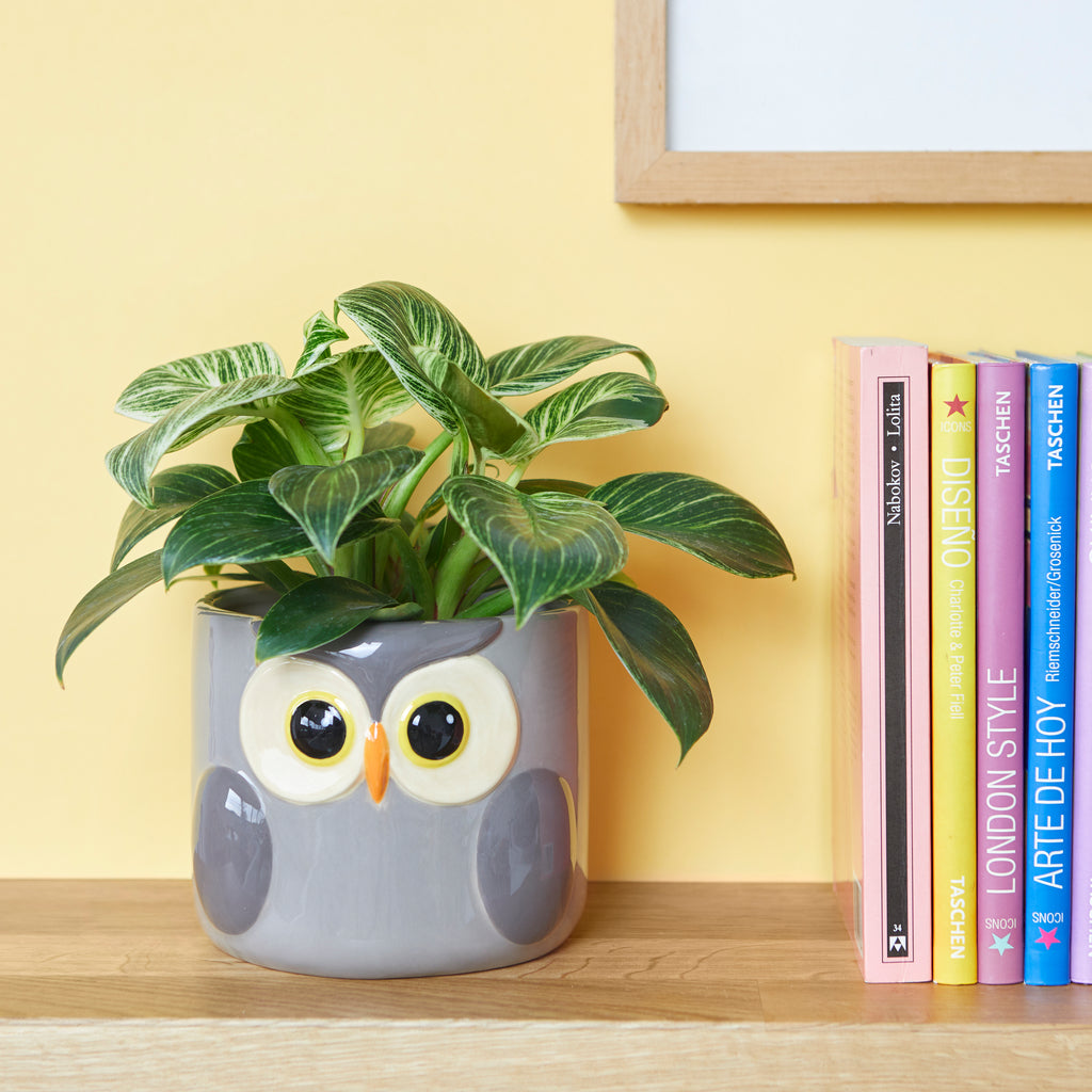 Pot de fleurs Owl