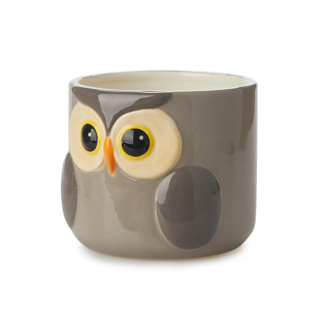 Pot de fleurs hibou