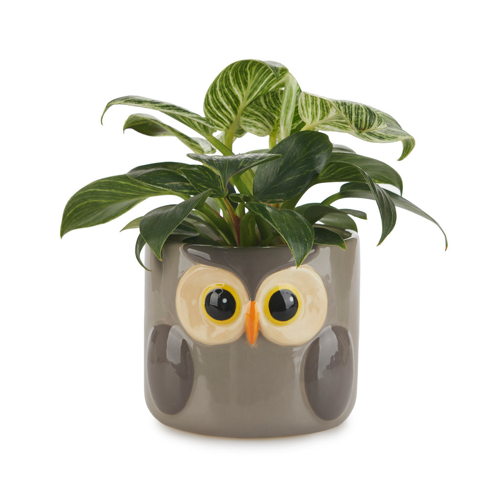 Pot de fleurs hibou