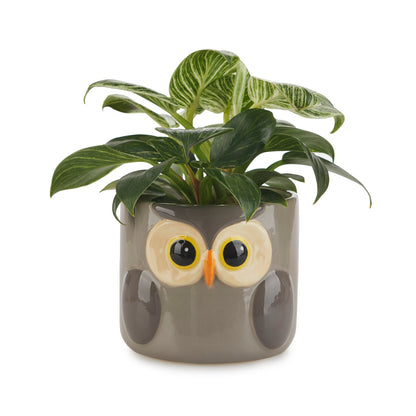 Pot de fleurs Owl