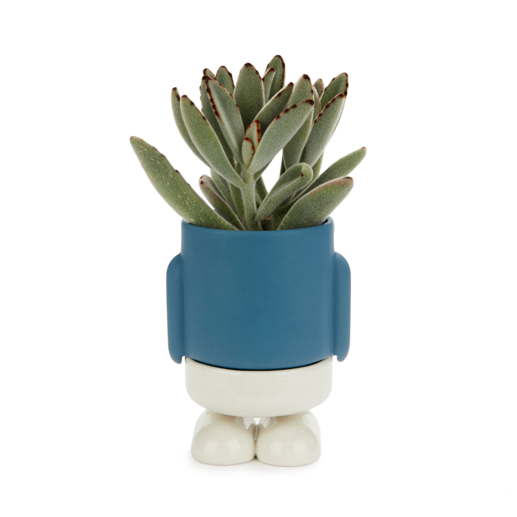 Mini pot de fleurs Mr. Standy