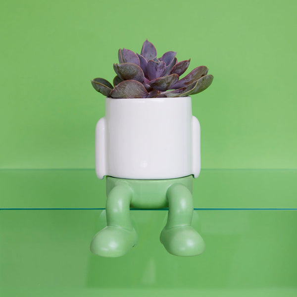 Pot de fleurs Mini Mr. Dangly