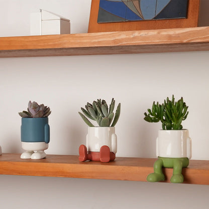 Mr. Dangly Mini Plant Pot