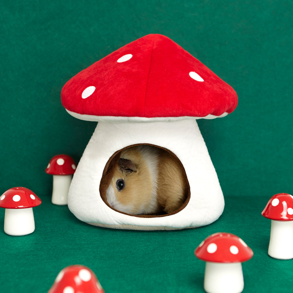 Lit Mushroom