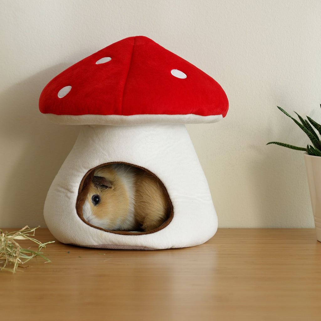 Lit Mushroom