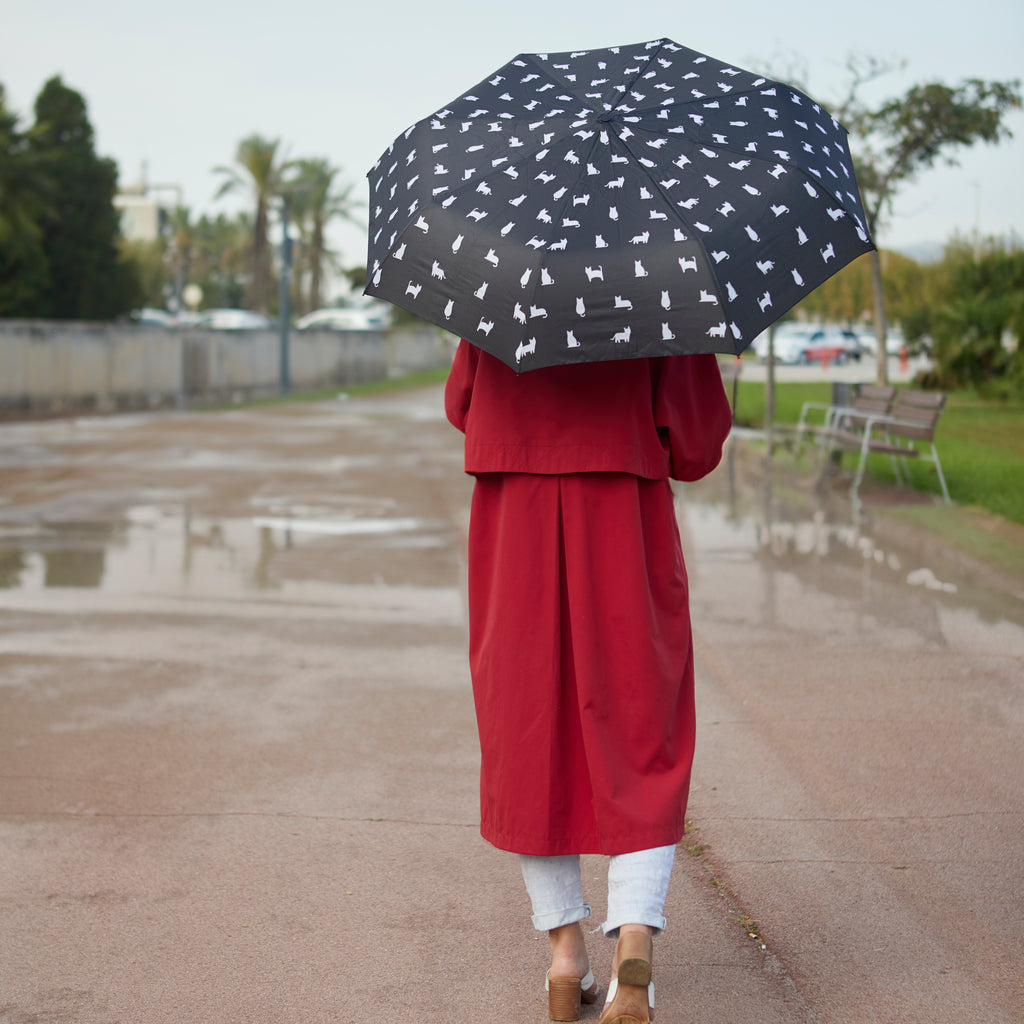 Parapluie Meowmbrella