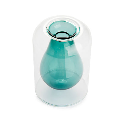 Vase de germination Avocado Vase